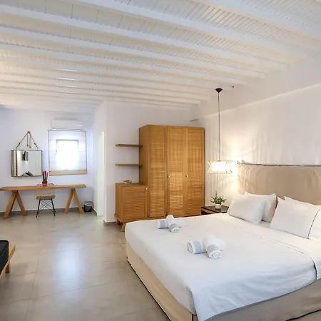 페티나로스 호텔 Mykonos Town