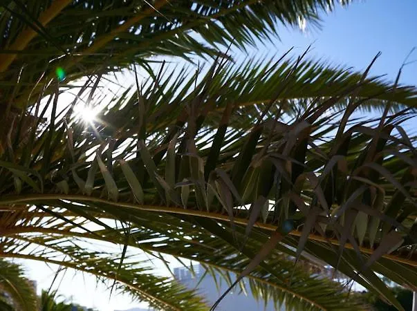 佩缇那罗斯酒店 4*