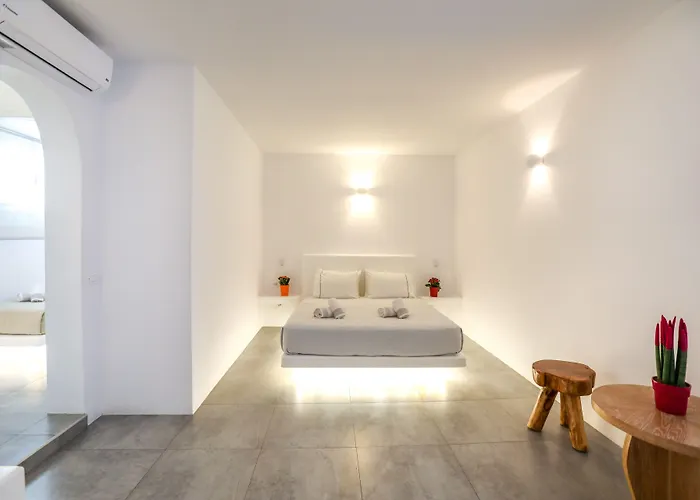 佩缇那罗斯酒店 4* Mykonos Town